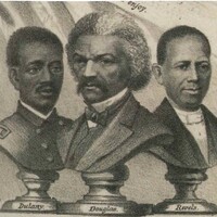 The result of the fifteenth amendment, 1870